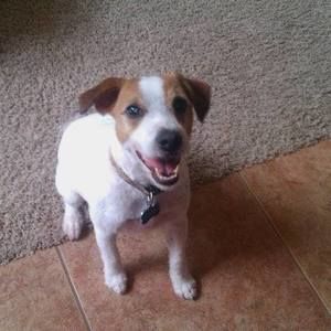 Meet your Posher, Pamela